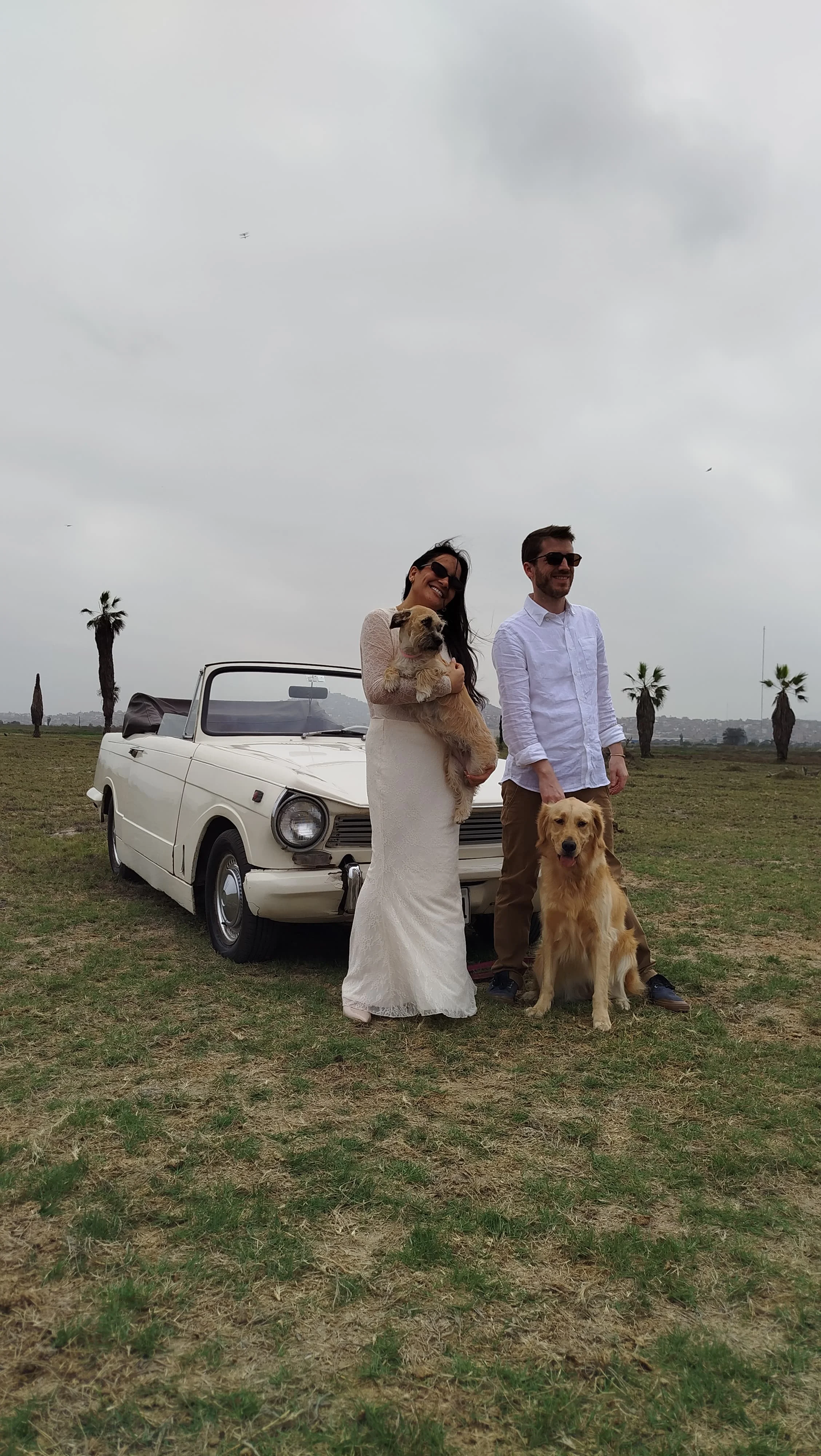 Rent a Classic - Mascotas365, image size:2256x4000