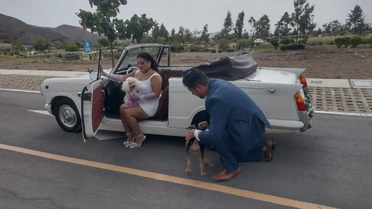 rent a car 6 768x432