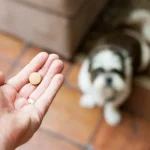 El cómo darle medicina a tu perro puede ser muy sencillo