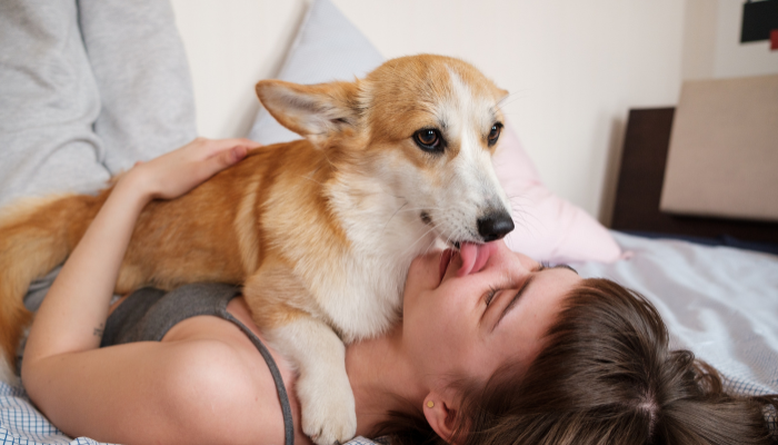 El lamido del perro puede significar desde cariño hasta estrés