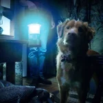 Good Boy es un la pelicula innovadora