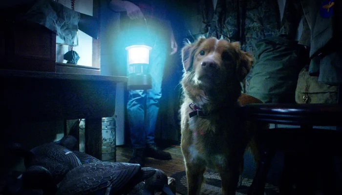 Good Boy es un la pelicula innovadora