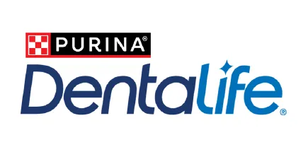 Dentalife