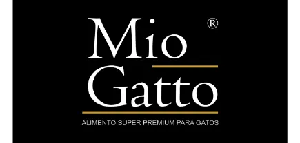 Mio Gatto
