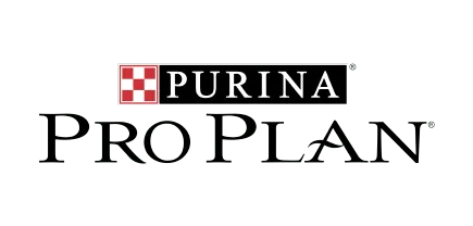 Pro Plan