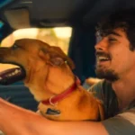 El perro Caramelo de la pelicula de netflix se ha vuelto muy popular