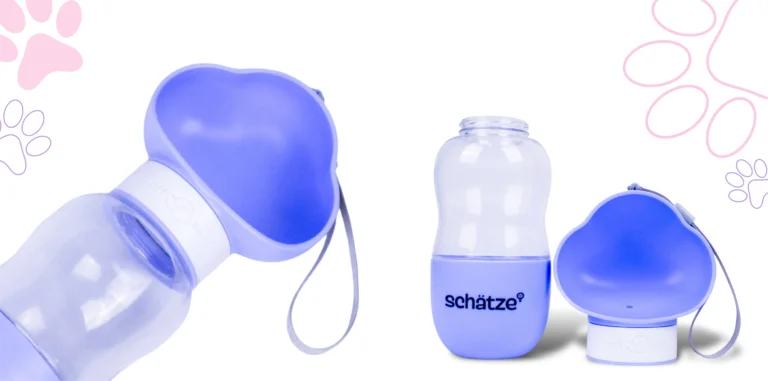 Schatze 21 768x381