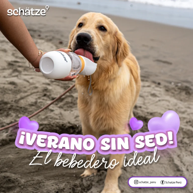 Schatze 24 768x768