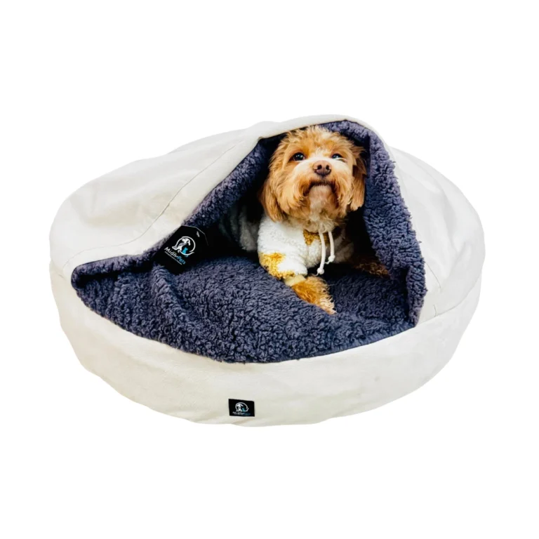 Mian pets galeria 1 768x768