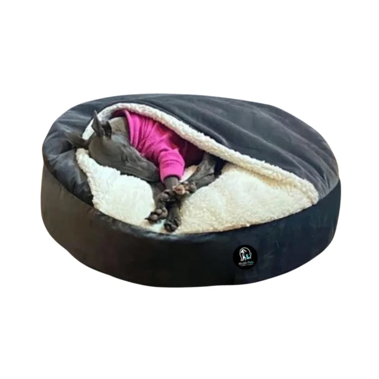 Mian pets galeria 2 768x768