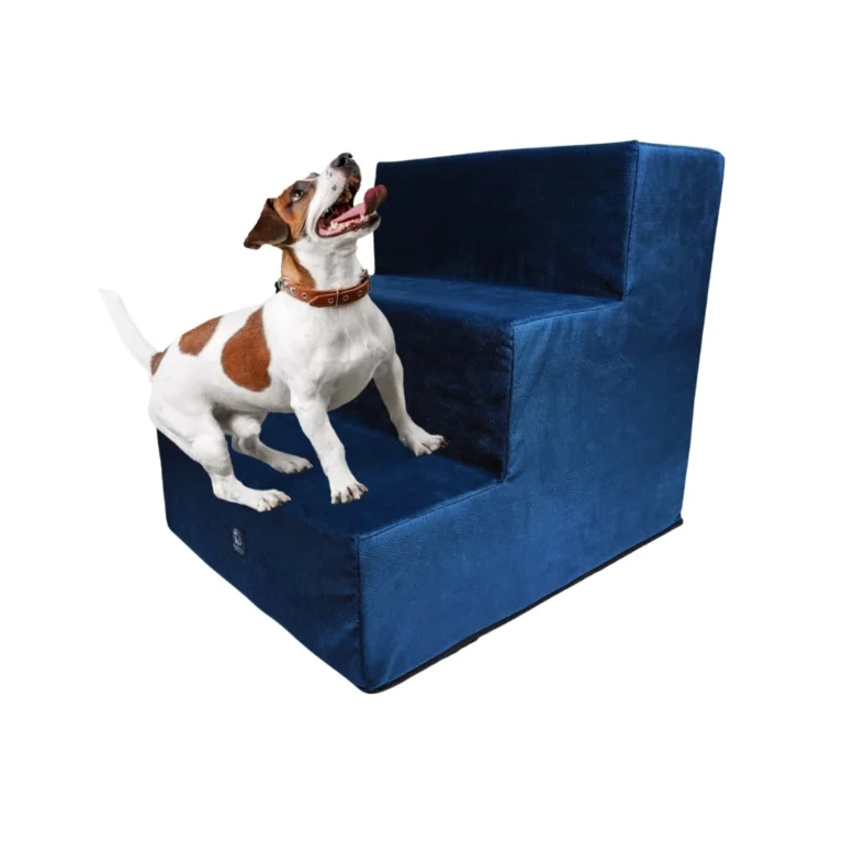 Mian pets galeria 3 768x768