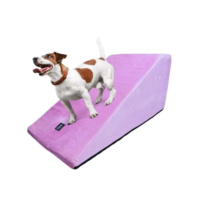 Mian pets galeria 4 768x768