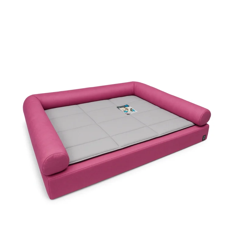 Mian pets galeria 6 768x768