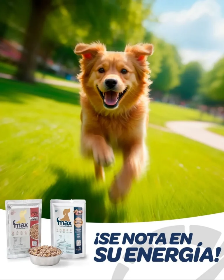 WhatsApp Image 2025 11 06 at 1.05.26 PM 768x959