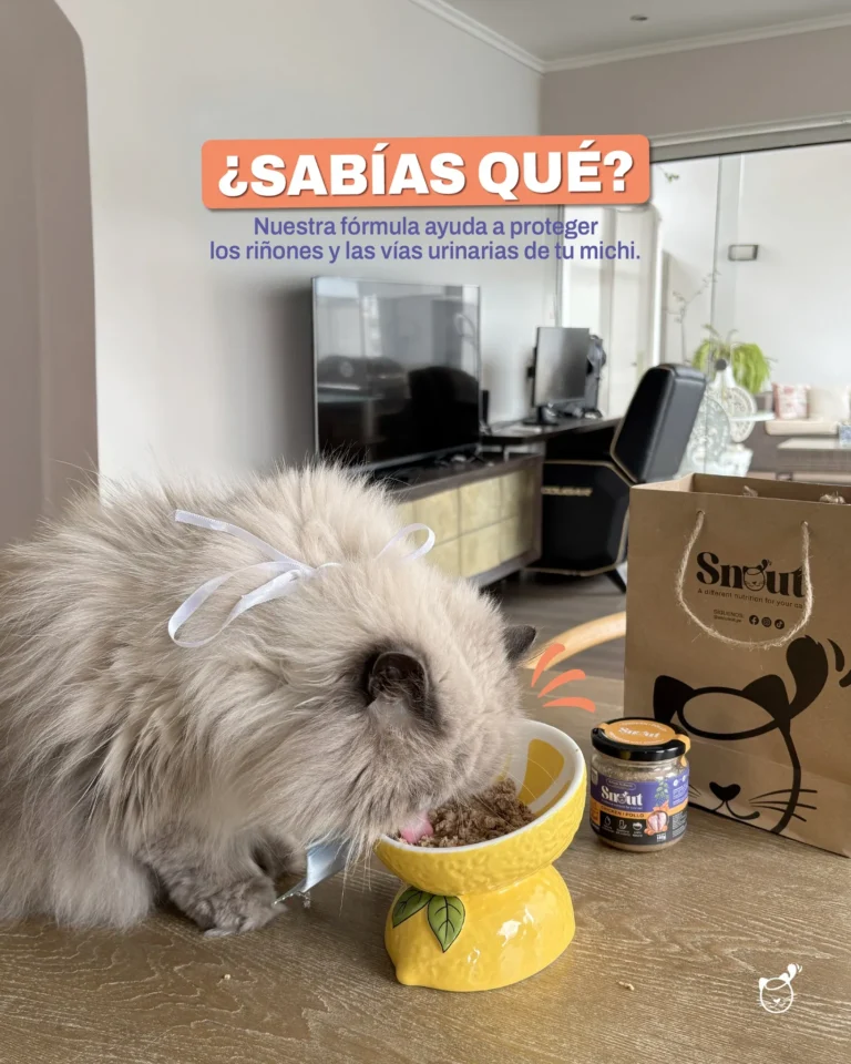 imgi 31 558789480 122191294382334946 8733158918074222924 n 768x960