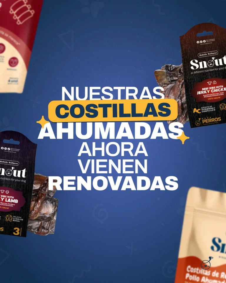 imgi 34 560607625 122183439722341872 8884544128592724022 n 768x960