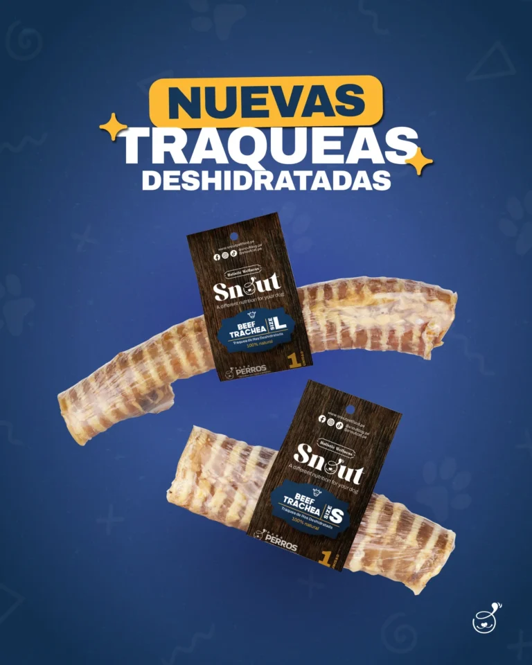 imgi 41 566293725 122184034502341872 7103065828820436315 n 768x960