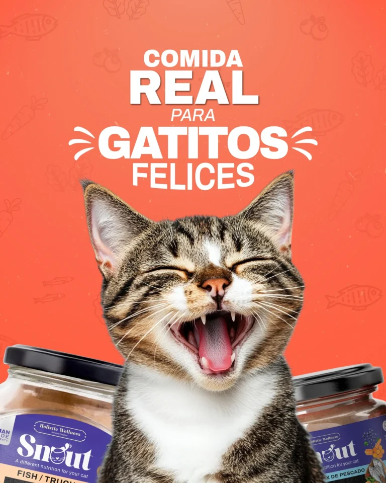 imgi 46 548317081 122188602308334946 2780029691876281205 n 768x960