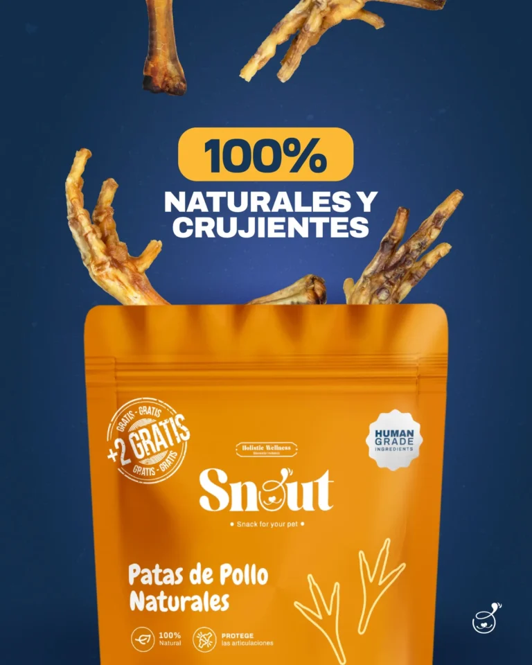 imgi 47 542453804 122179166384341872 1190443056600090880 n 768x960