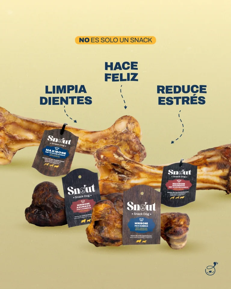 imgi 50 541502573 122179065644341872 6503561409705225095 n 768x960