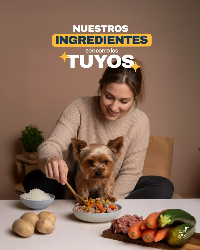 imgi 50 559256555 122182942130341872 1632744627999535525 n 768x960