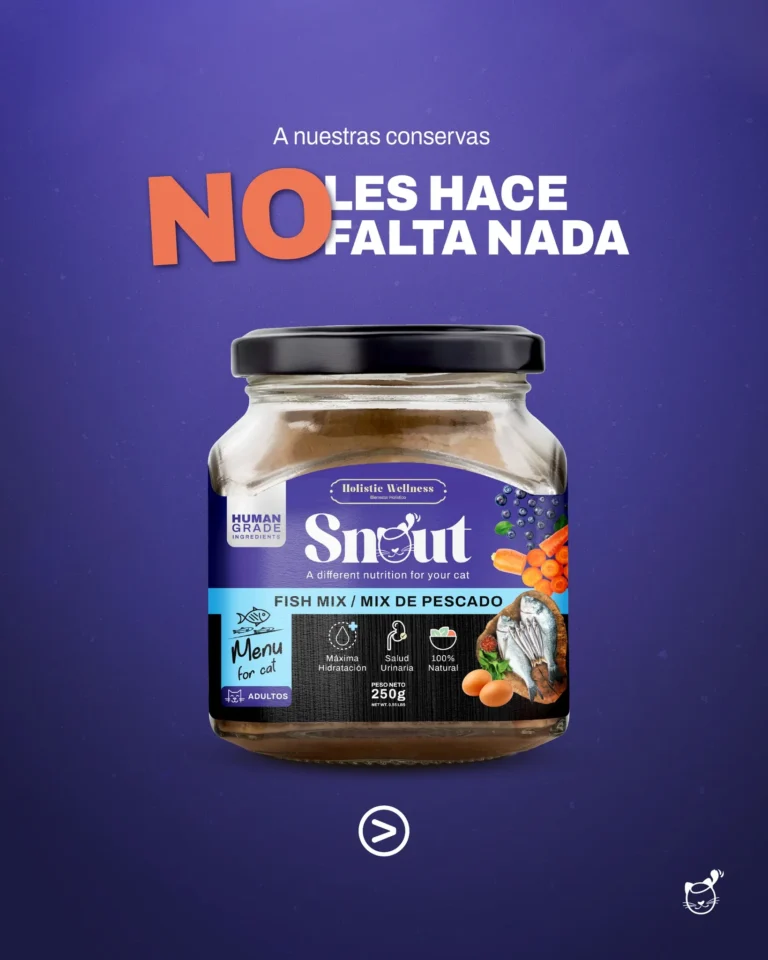 imgi 52 546182846 122188004186334946 1989677398568436642 n 768x960