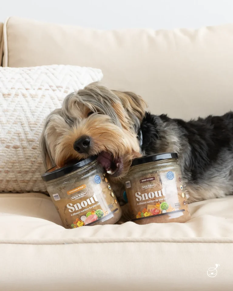 imgi 53 540436947 122178283100341872 3732403956074648499 n 768x960