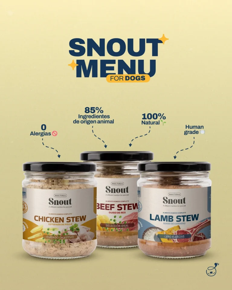 imgi 55 550446526 122181176546341872 2498671187649820028 n 768x960