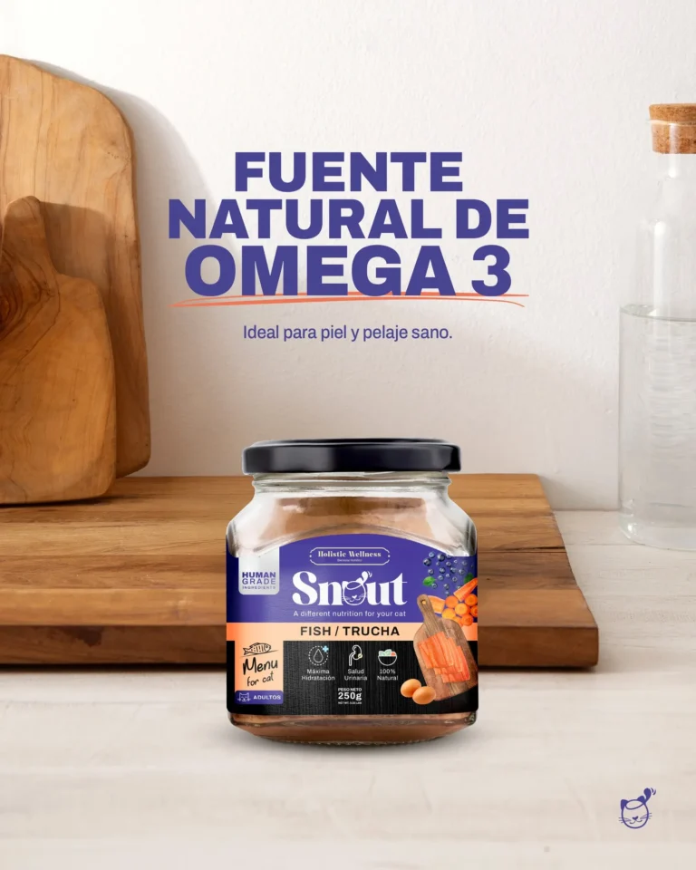 imgi 58 505368527 122174981456334946 8986114824131932848 n 768x960