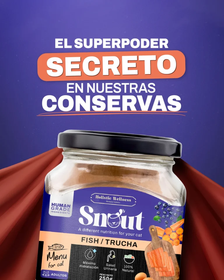 imgi 62 536280607 122185162286334946 8175760344577162772 n 768x960