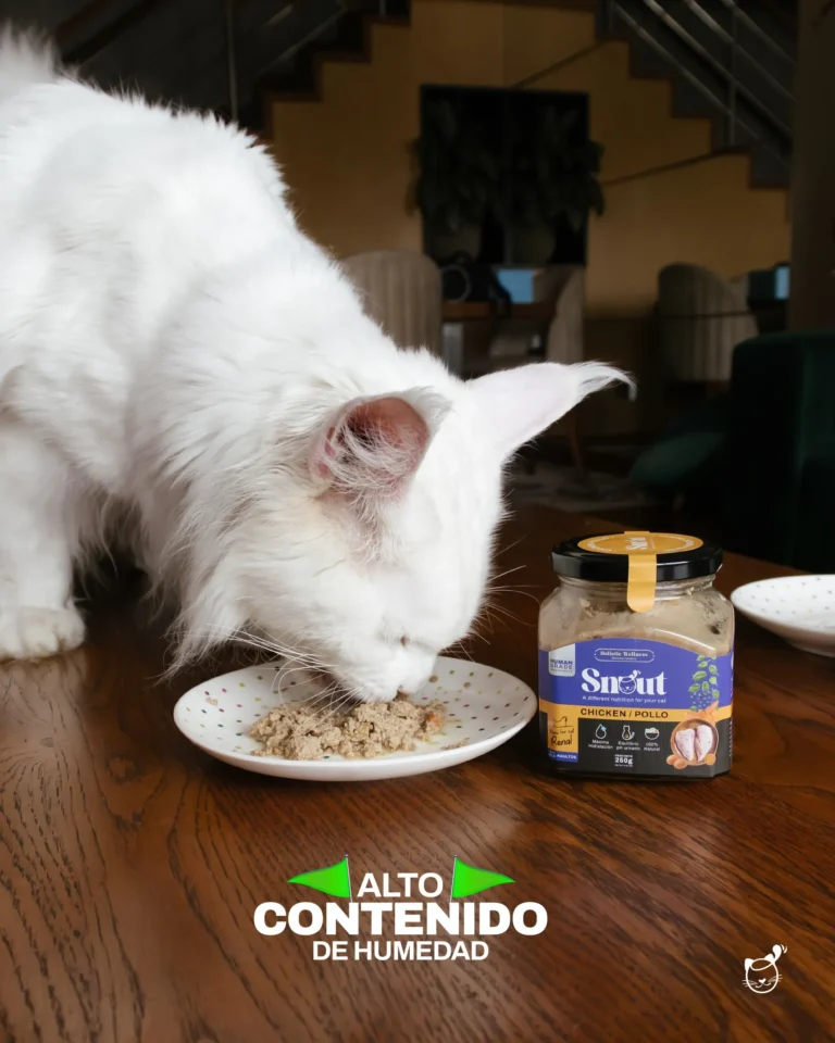 imgi 68 518271508 122180158418334946 2799667008968618217 n 768x960