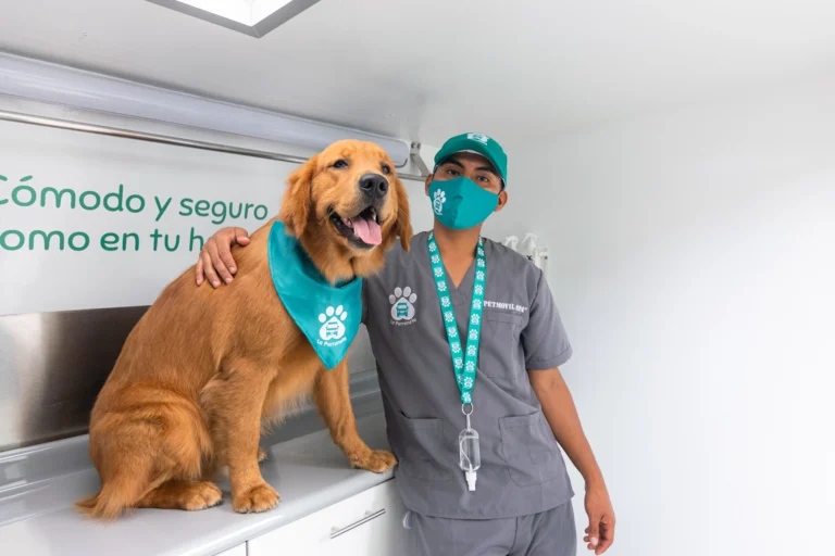 Perroneta Img establecimiento 1 768x512