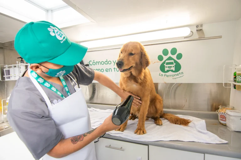 Perroneta Img establecimiento 3 768x512