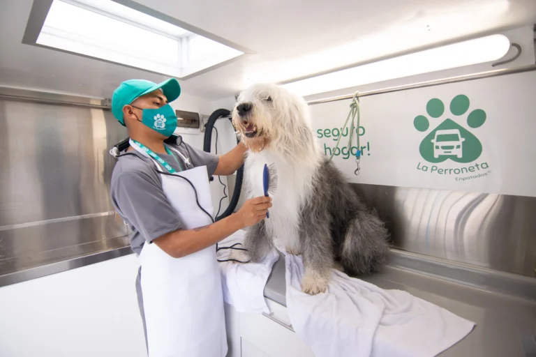 Perroneta Img establecimiento 4 768x512