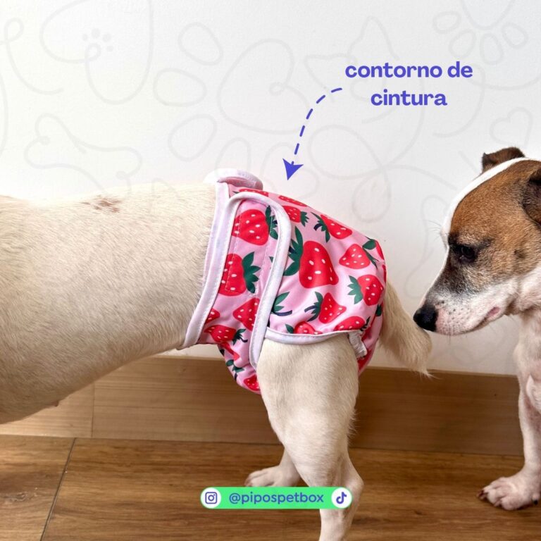 vista de panal puesto contorno de cintura hembra 768x768