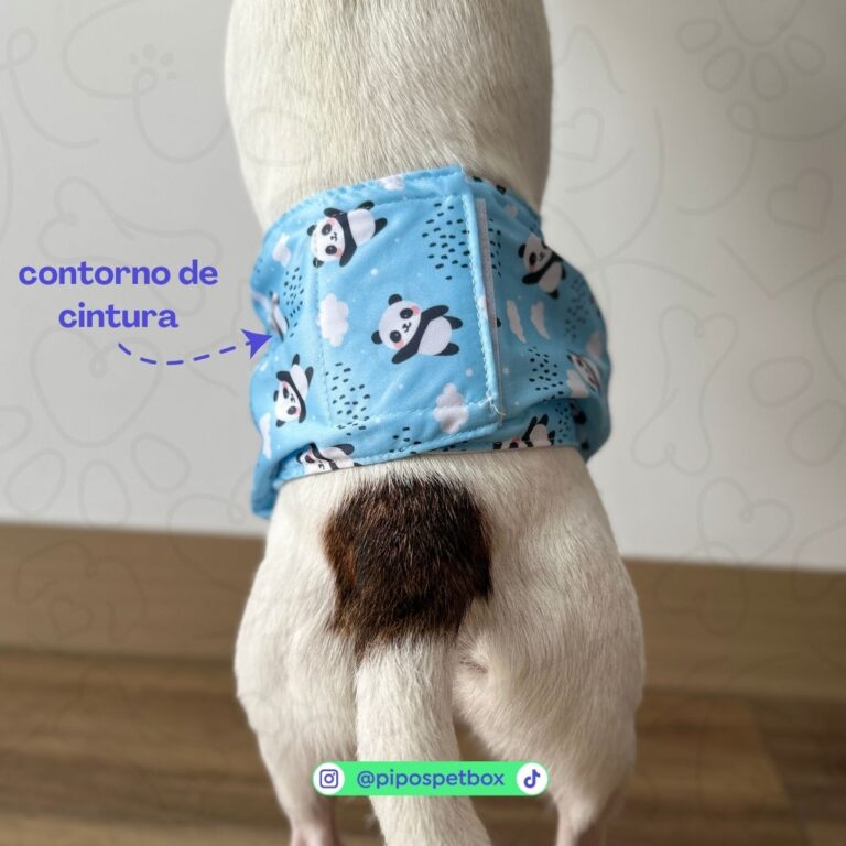 vista de panal puesto contorno de cintura macho 768x768