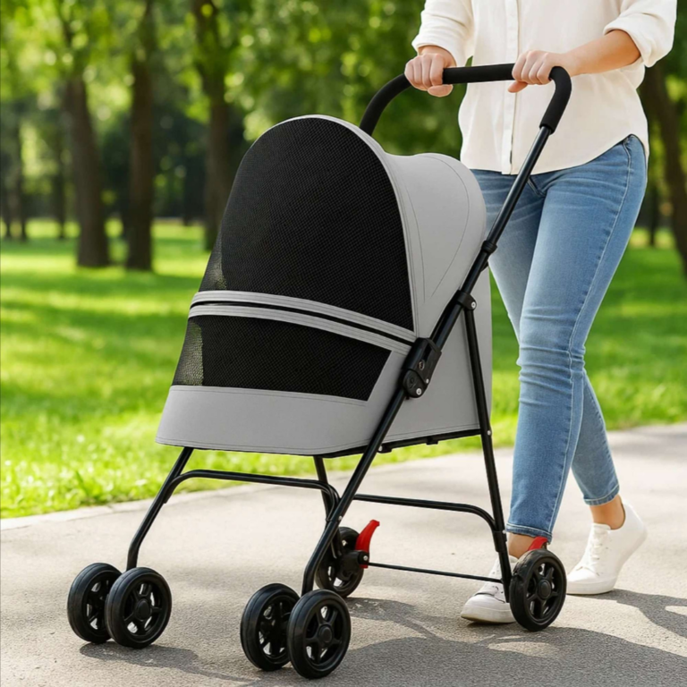 FOTOS ESTABLECIMIENTOS 3 768x768