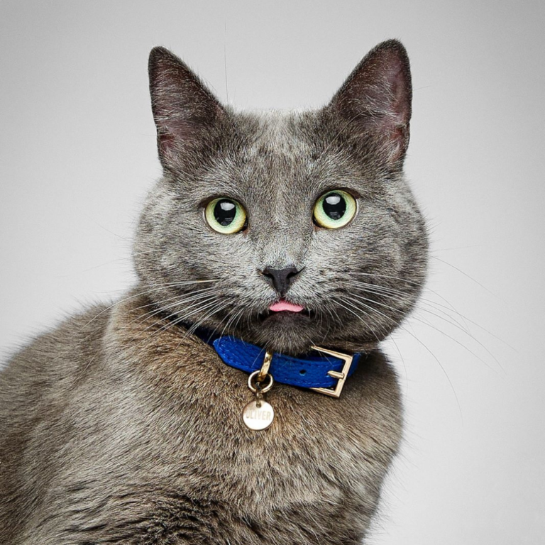 FOTOS ESTABLECIMIENTOS 768x768