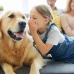Hablar con tu perro puede ser efectivo para la convivencia