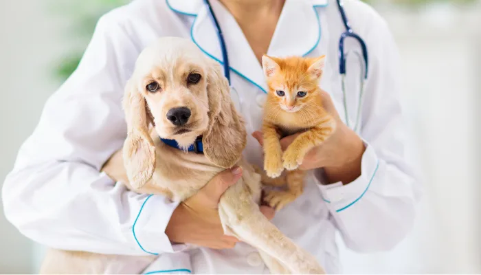 La leptospirosis en perros y en gatos puede convertirse en una enfermedad grave sin atención