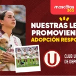 Las leonas de la U llevaron tuvieron mascotas en la cancha