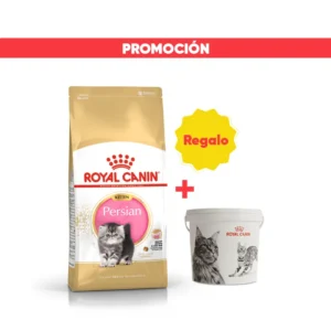 Royal Canin Gato FBN Persian Kitten 2 Kg