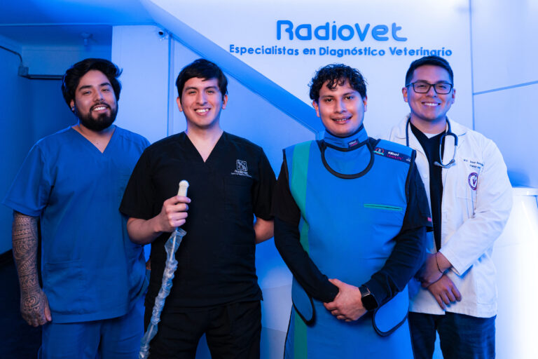 RadioVet img2 768x512