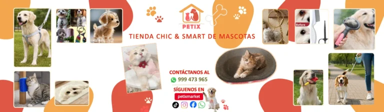 petix portada 768x224