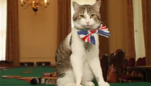 Larry el gato es el oficial más longevo del gobierno británico