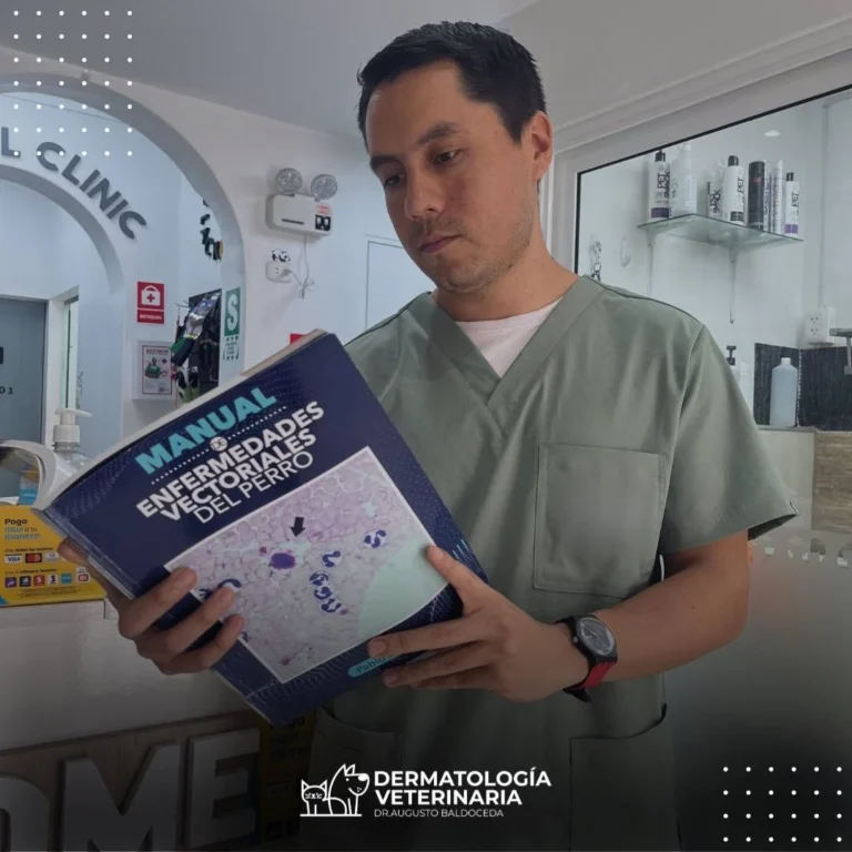 Dr. Baldoceda 6 768x768