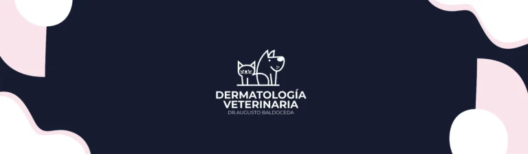 Portada Dr. Baldoceda 768x224