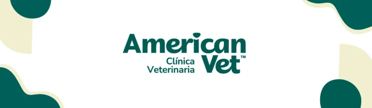 americanvet portada 768x224