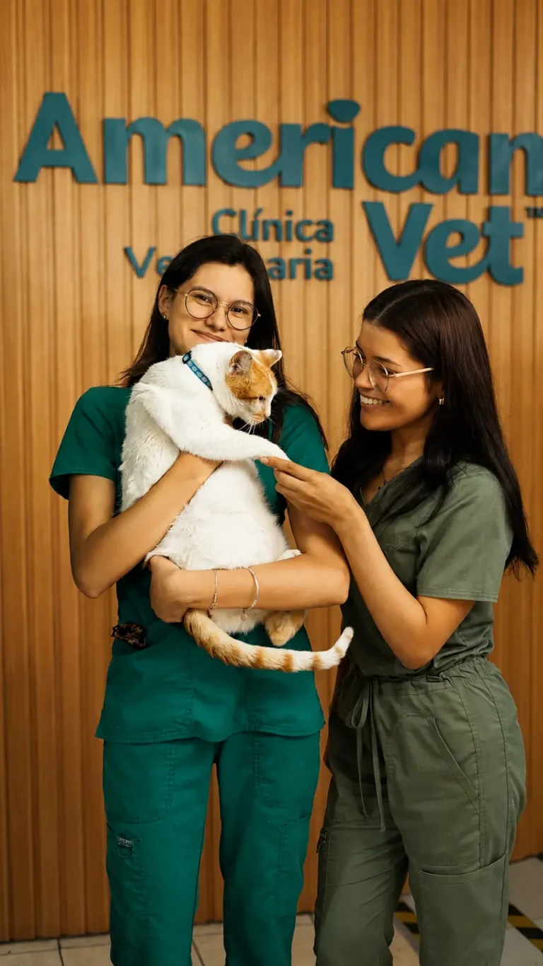americanvet5 768x1365