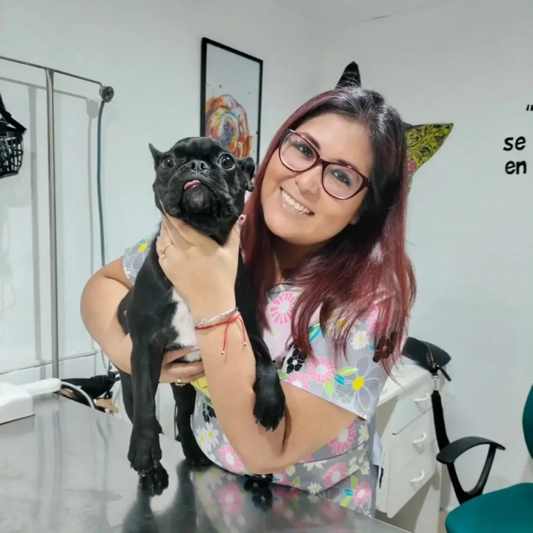 animascotas1 768x768